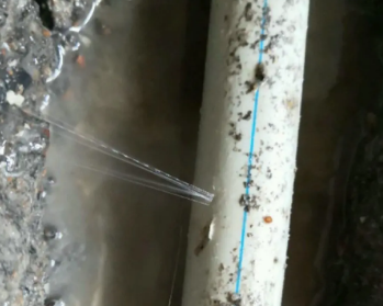 海兴卫生间测漏水多少钱