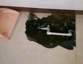 海兴卫生间测漏水多少钱